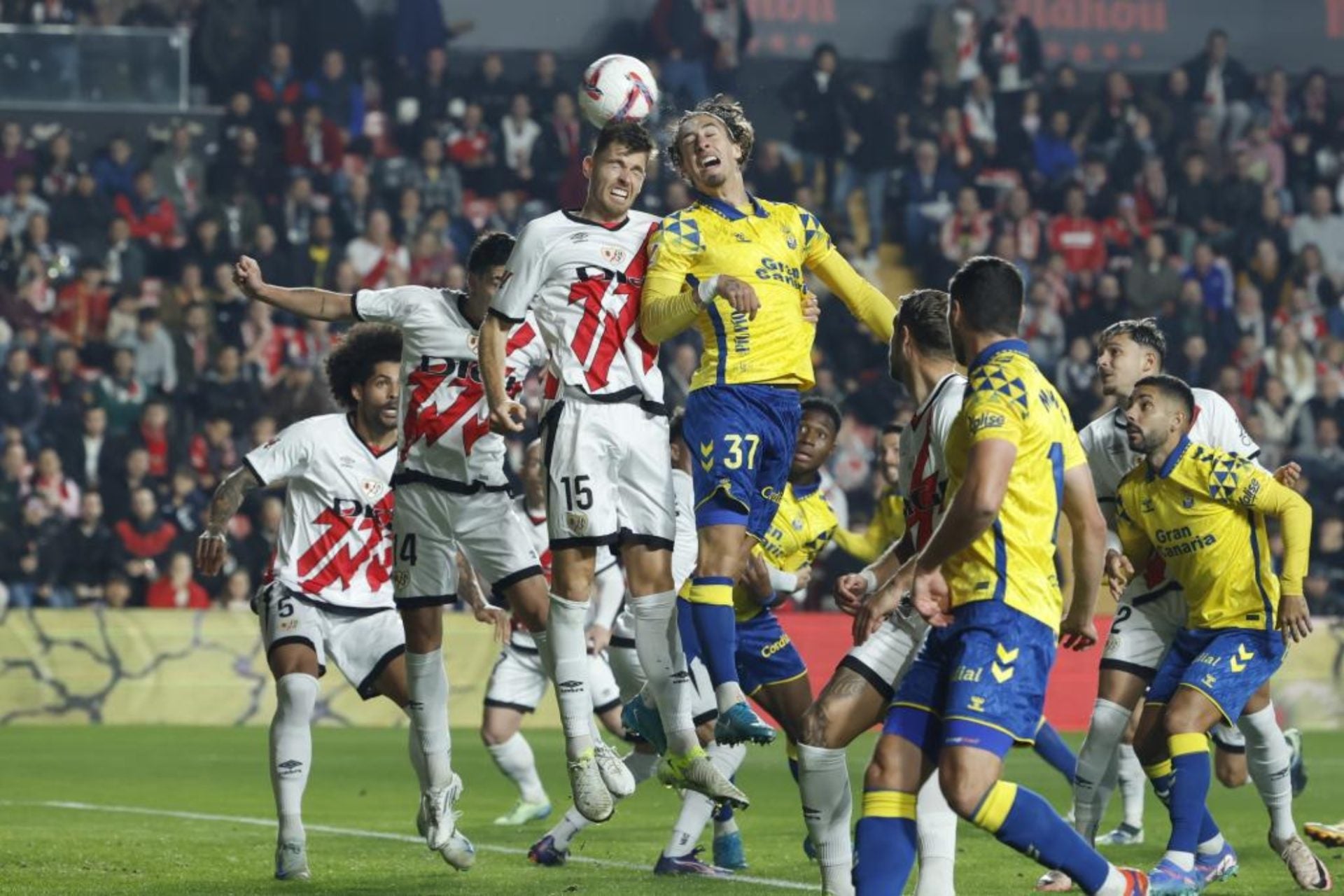 2025/05/UDLP-RAYO.jpeg