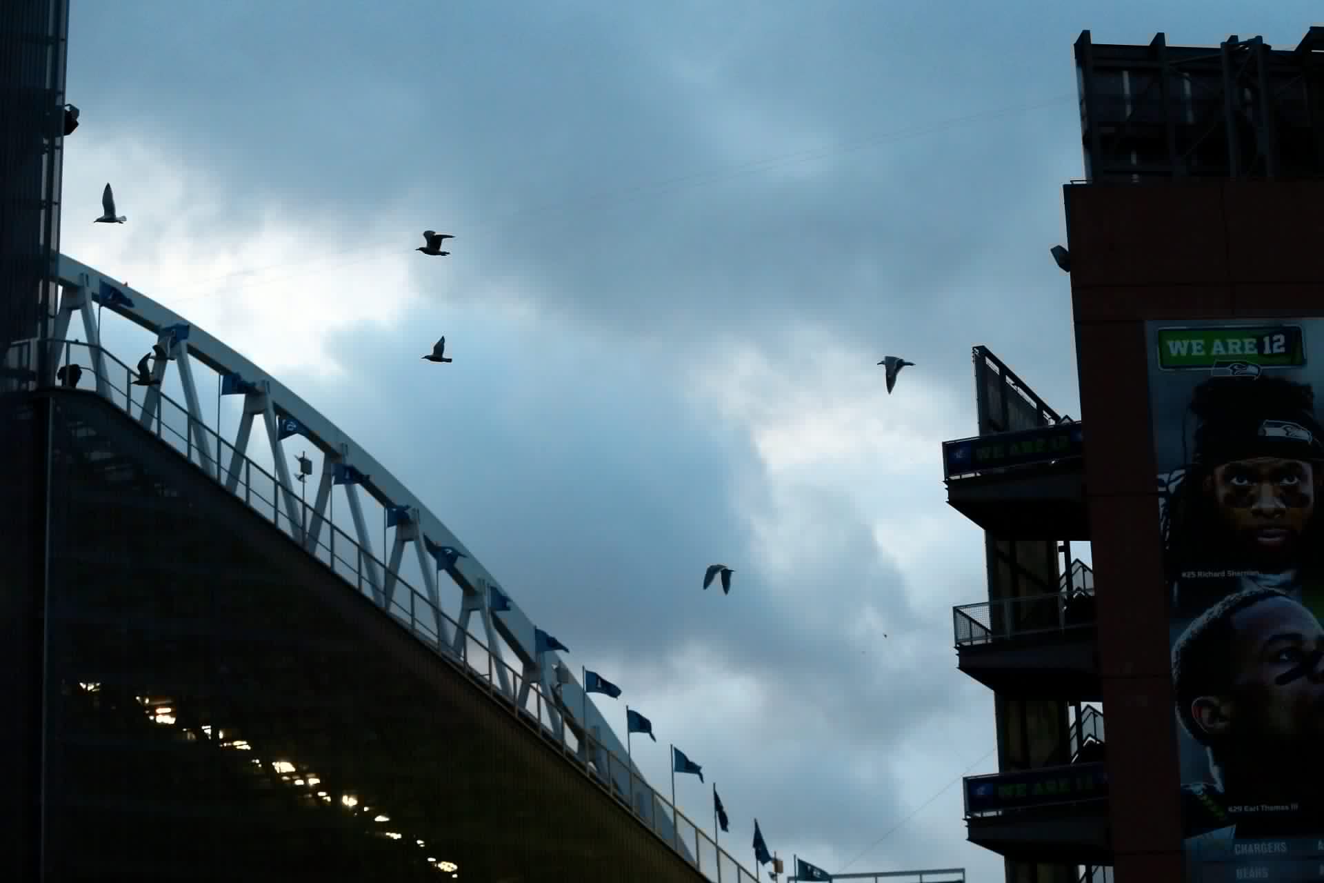 2025/03/nfc-championship-green-bay-packers-v-seattle-seahawks.jpg