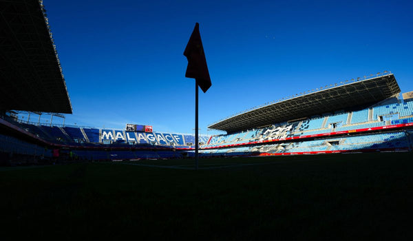 La Rosaleda se queda pequeña-image