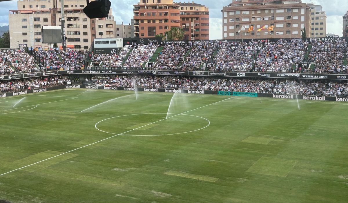 El césped de Castalia, un problema a solucionar-image