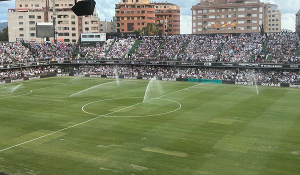 El césped de Castalia, un problema a solucionar-image